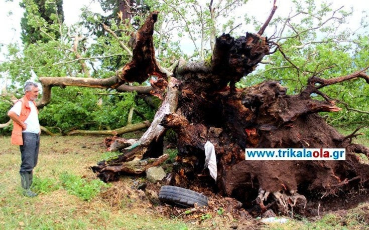 Ανεμοστρόβιλος σάρωσε περιοχές των Τρικάλων –  Ξερίζωσε πλάτανο 200 ετών – Δείτε το βίντεο